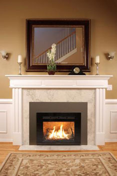 Hearthstone 8850 Quinlan Gas Insert With Cast Iron Facade