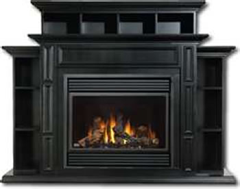 BGD36NTR Napoleon Gas Fireplace