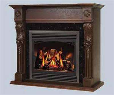 GD33NR Napoleon Gas Fireplace