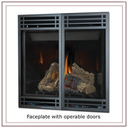 HD46 Clean Face Napoleon Direct Vent Gas Fireplace