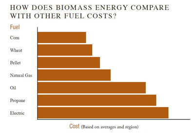 Biomass Energy To Alternative Comparison