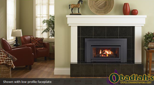 Regency Energy E21 Small Gas Insert