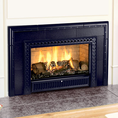 Hearthstone 8890 Gas Insert with Cast Iron Facade