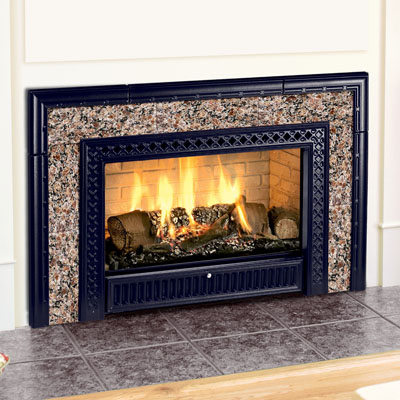 Hearthstone 8890 Gas Insert with Cast Iron Facade