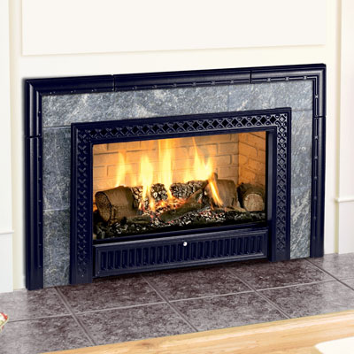 Hearthstone 8890 Gas Insert with Cast Iron Facade