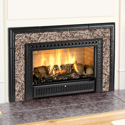 Hearthstone 8890 Gas Insert with Cast Iron Facade