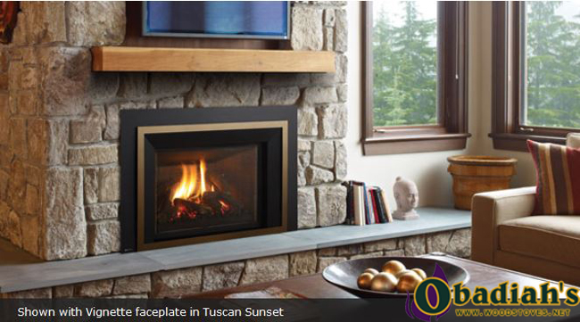 Regency Liberty Lri6e Large Direct Vent Gas Insert At Obadiahs 