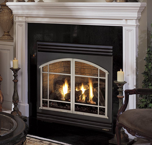 Elite EDV Astria Gas Fireplace  Discontinued* by Obadiahs Woodstoves