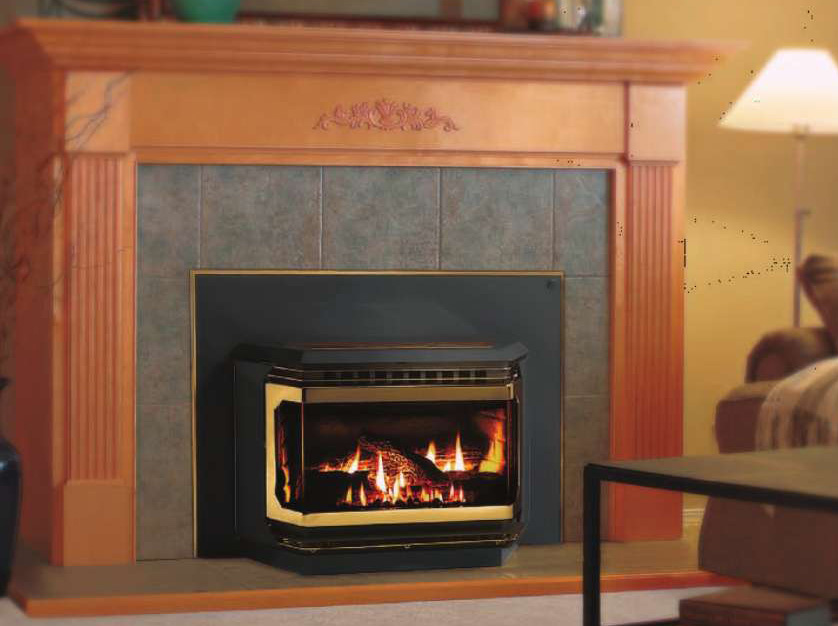 Firestar Gas Fireplace Insert - Discontinued