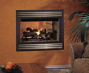 Merit Plus See-Through Astria Gas Fireplace