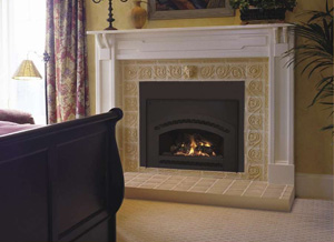 SDVI Lennox Gas Fireplace Insert - Discontinued