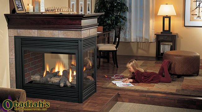 Regency Panorama P131 Three Sided Glass Direct Vent Gas Fireplace - Discontinued