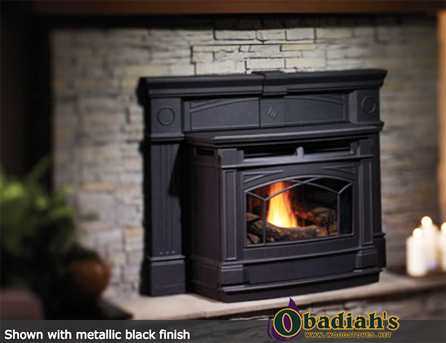 Regency GCI60 Biomass Pellet Insert at Obadiah's