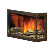 NPS45 Napoleon Automated Pellet Stove