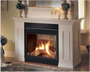 BGD40N Napoleon Multi-view Gas Fireplace
