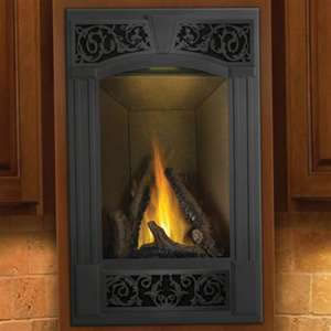 Gd19 Napoleon Vittoria Direct Vent Fireplace By Obadiah S Woodstoves