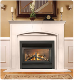 GD34NT Napoleon Gas Fireplace