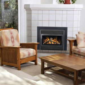 GD34NT Napoleon Gas Fireplace - Discontinued*