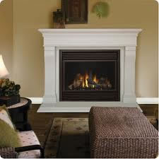 GD36NTR Napoleon Gas Fireplace