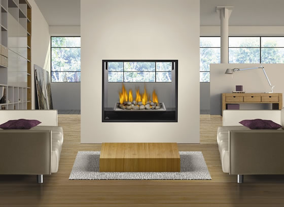 HD81 See Thru Napoleon Gas Fireplace