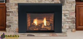 Topaz Insert Majestic Topaz Direct Vent Gas Insert