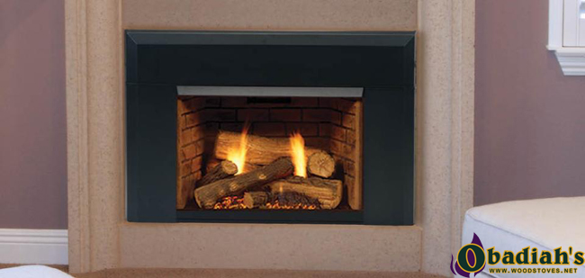 Majestic Topaz Direct Vent Gas Insert